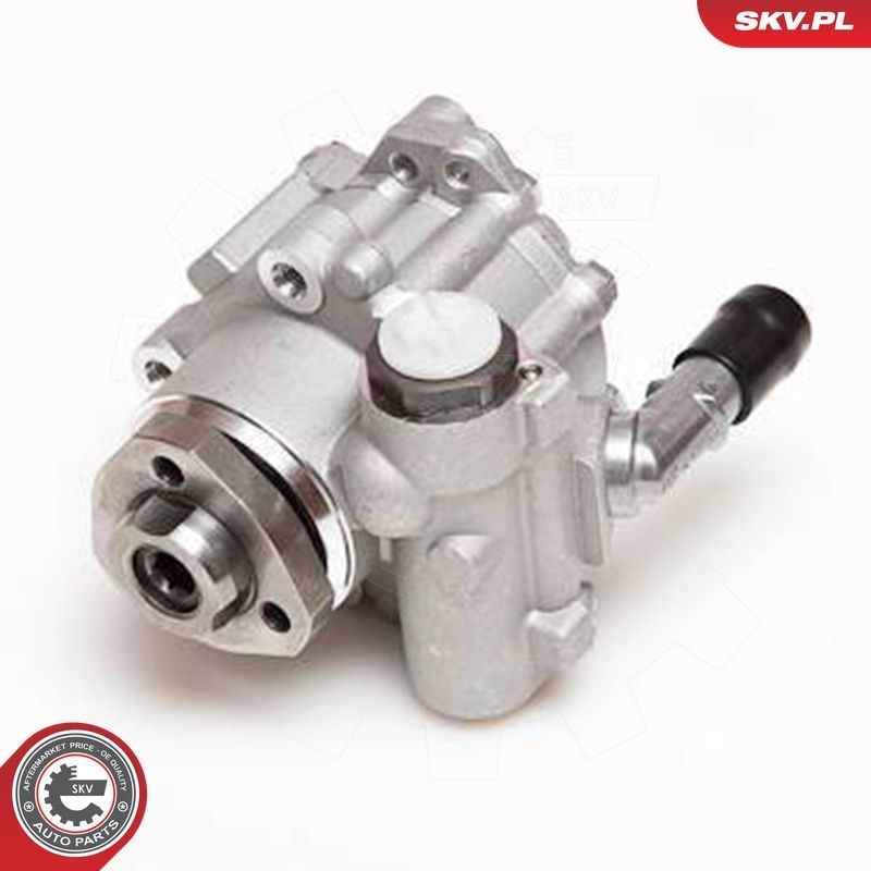 ESEN SKV 10SKV110 - Hydraulikpumpe, Lenkung