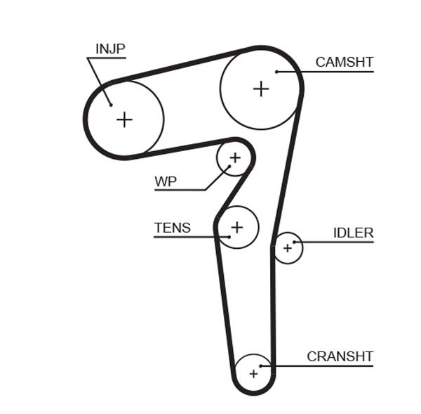 Timing Belt 5646XS