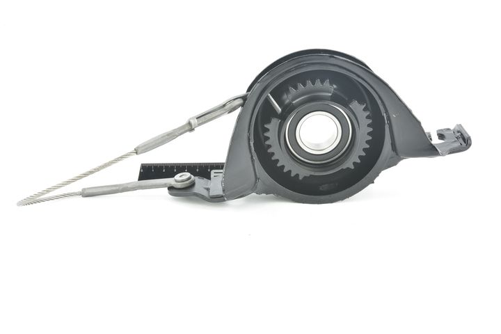 guolis, kardaninio veleno centrinis guolis