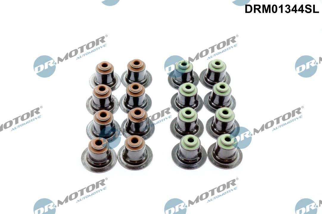 Dr.Motor Automotive DRM01344SL - Dichtungssatz, Ventilschaft