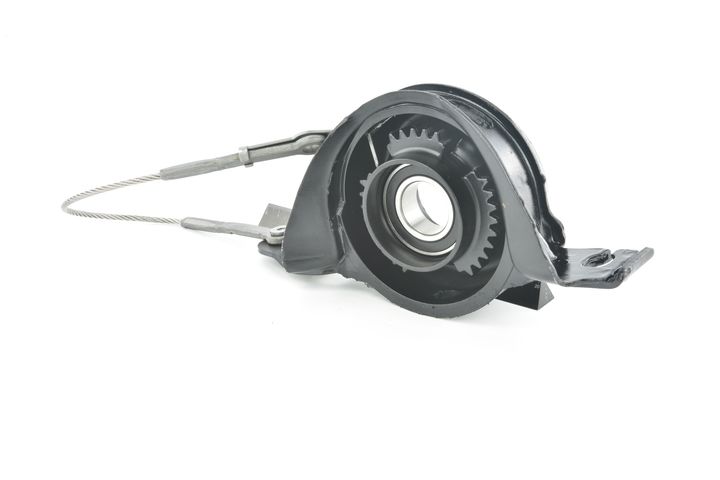 guolis, kardaninio veleno centrinis guolis