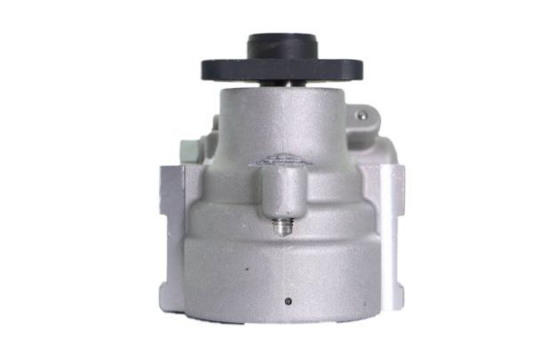 Hydraulikpumpe, Lenkung