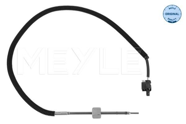 Sensor, Abgastemperatur