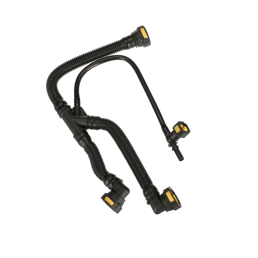 žarna, karterio alsuoklis