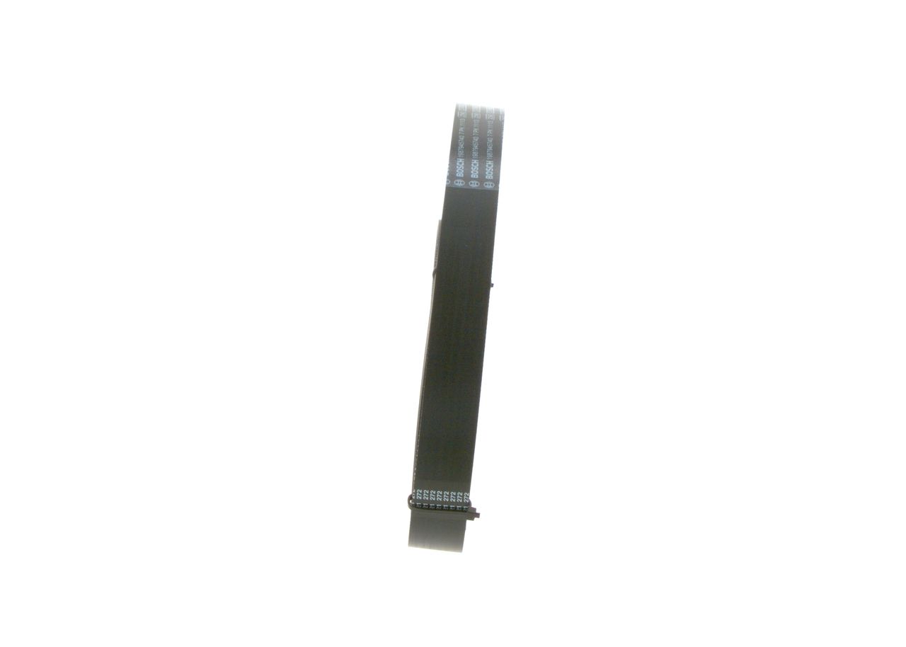 1987945740PH19WHCO0000.JPG