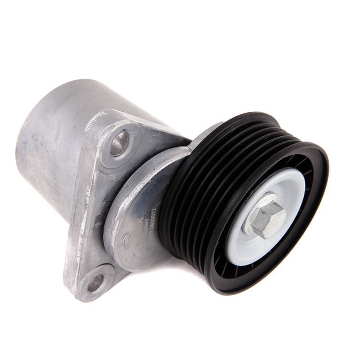 STARK SKTP-0600012 Tensioner Lever, V-ribbed belt