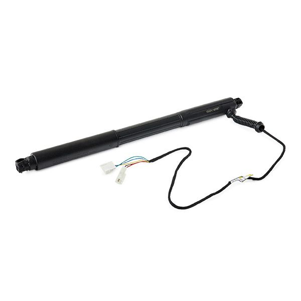 RIDEX 219G1031 Electric Motor, tailgate