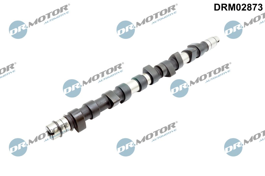 Dr.Motor Automotive DRM02873 - Nockenwelle