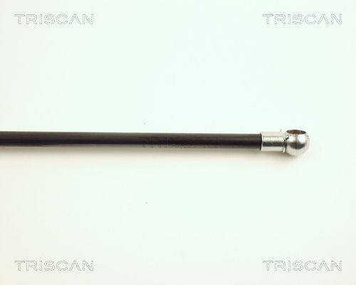 Triscan 8710 16215 Gasfeder, Koffer-/Laderaum