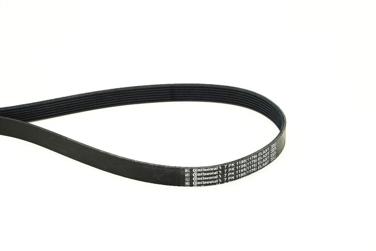 Continental CTAM 7PK1195 ELAST Keilrippenriemen
