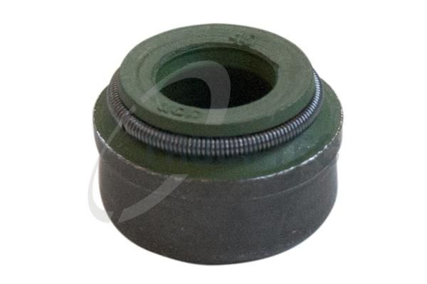 Dichtring, Ventilschaft