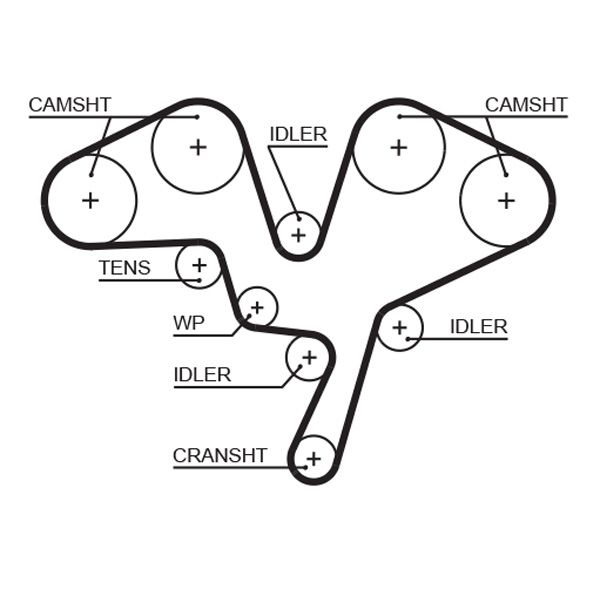 Timing Belt 5602XS