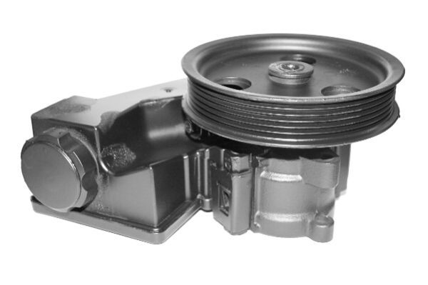 Hydraulikpumpe, Lenkung