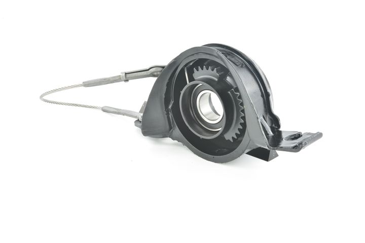 guolis, kardaninio veleno centrinis guolis