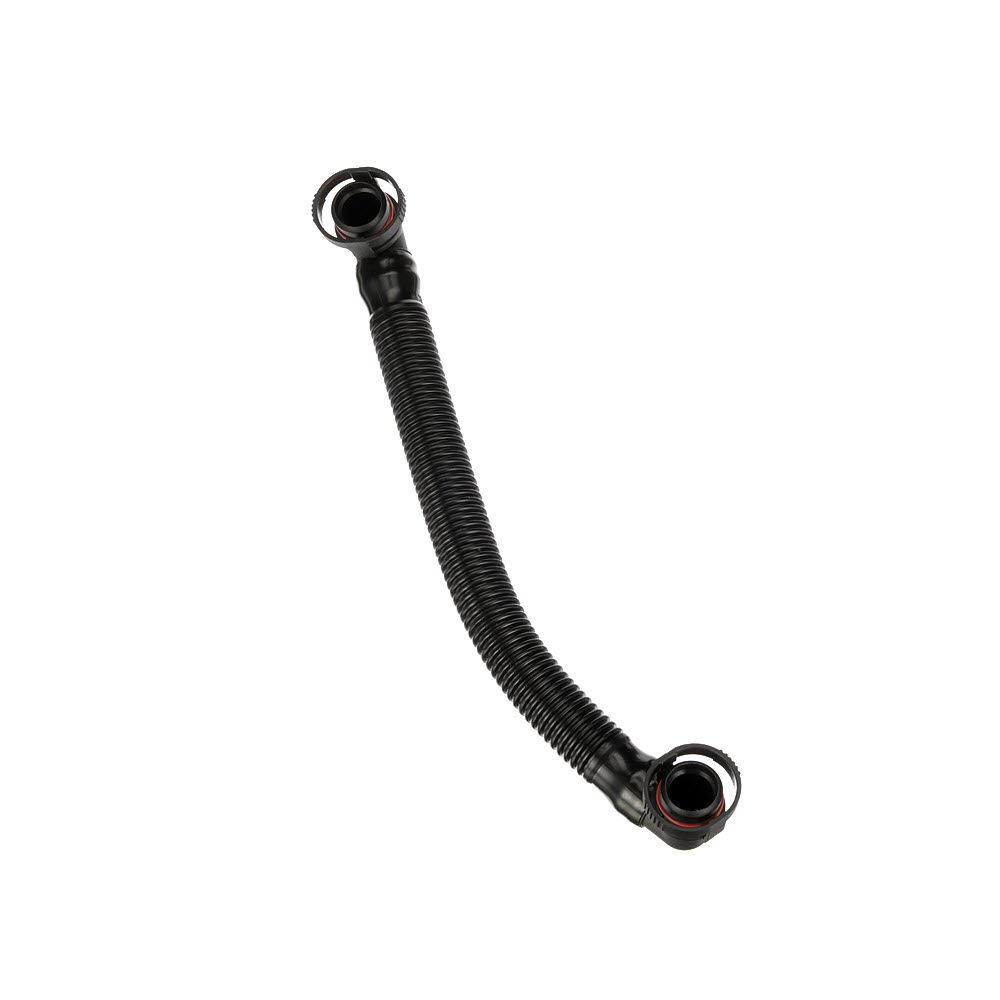žarna, karterio alsuoklis