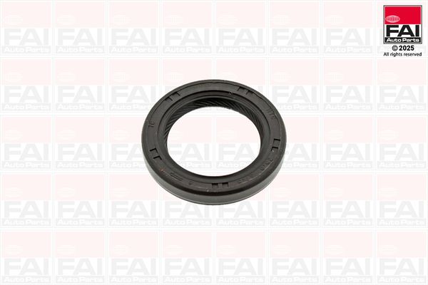 Wellendichtring, Kurbelwelle