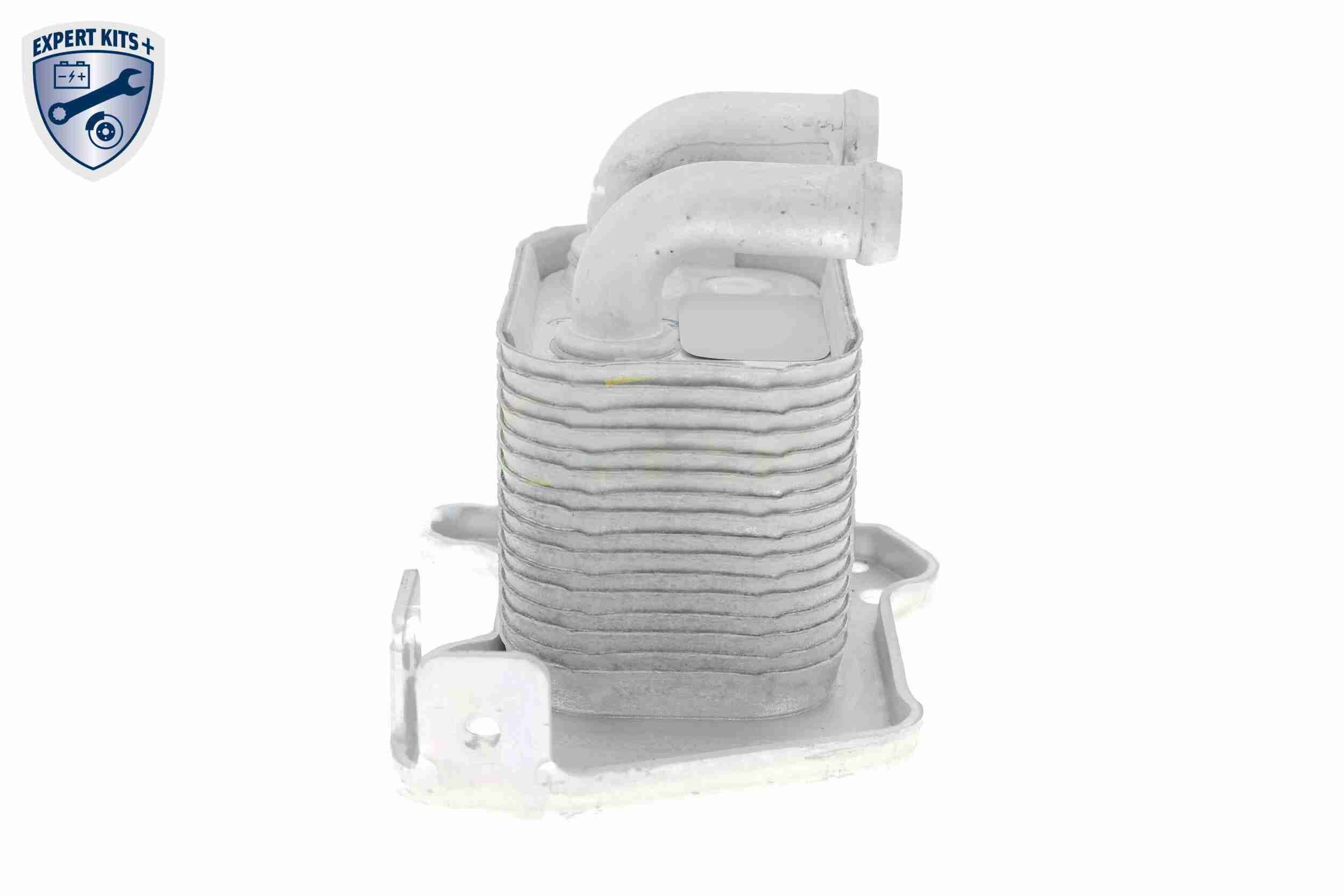 &Ouml;lk&uuml;hler, Motor&ouml;l