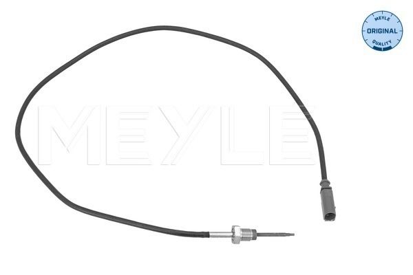 Sensor, Abgastemperatur