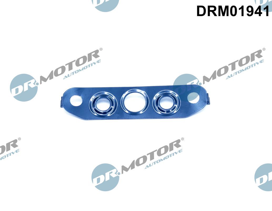 Dr.Motor Automotive DRM01941 - Dichtung, &Ouml;lauslass (Lader)