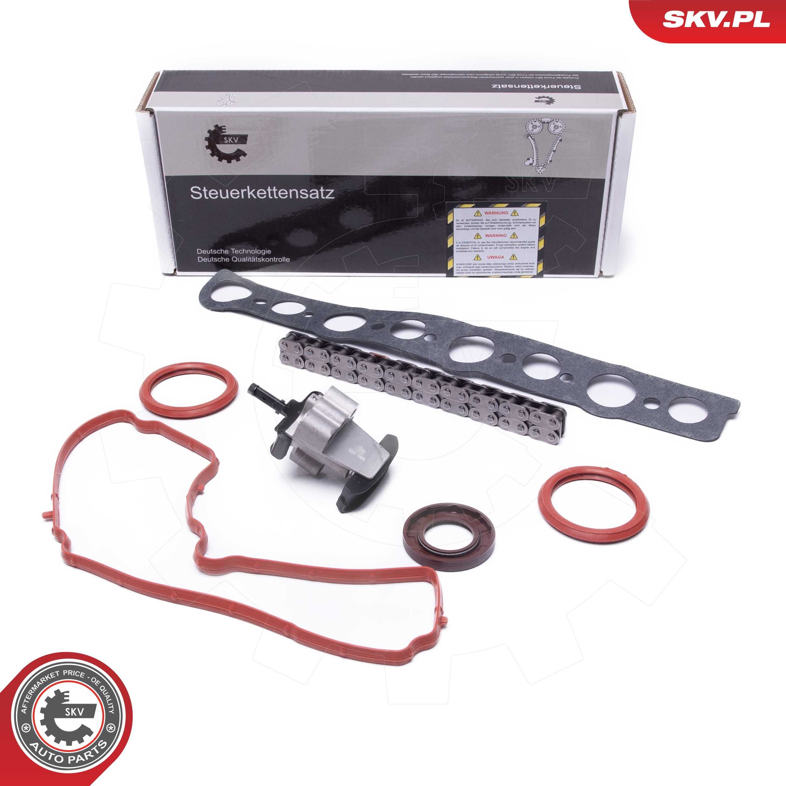 Timing Chain Kit 21SKV254