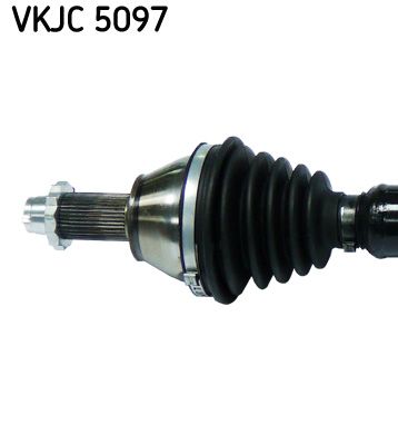 VKJC 5097_2.JPG