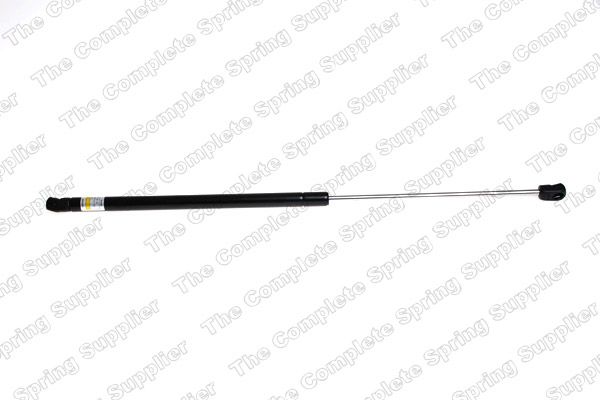 Gasfeder, Koffer-/Laderaum