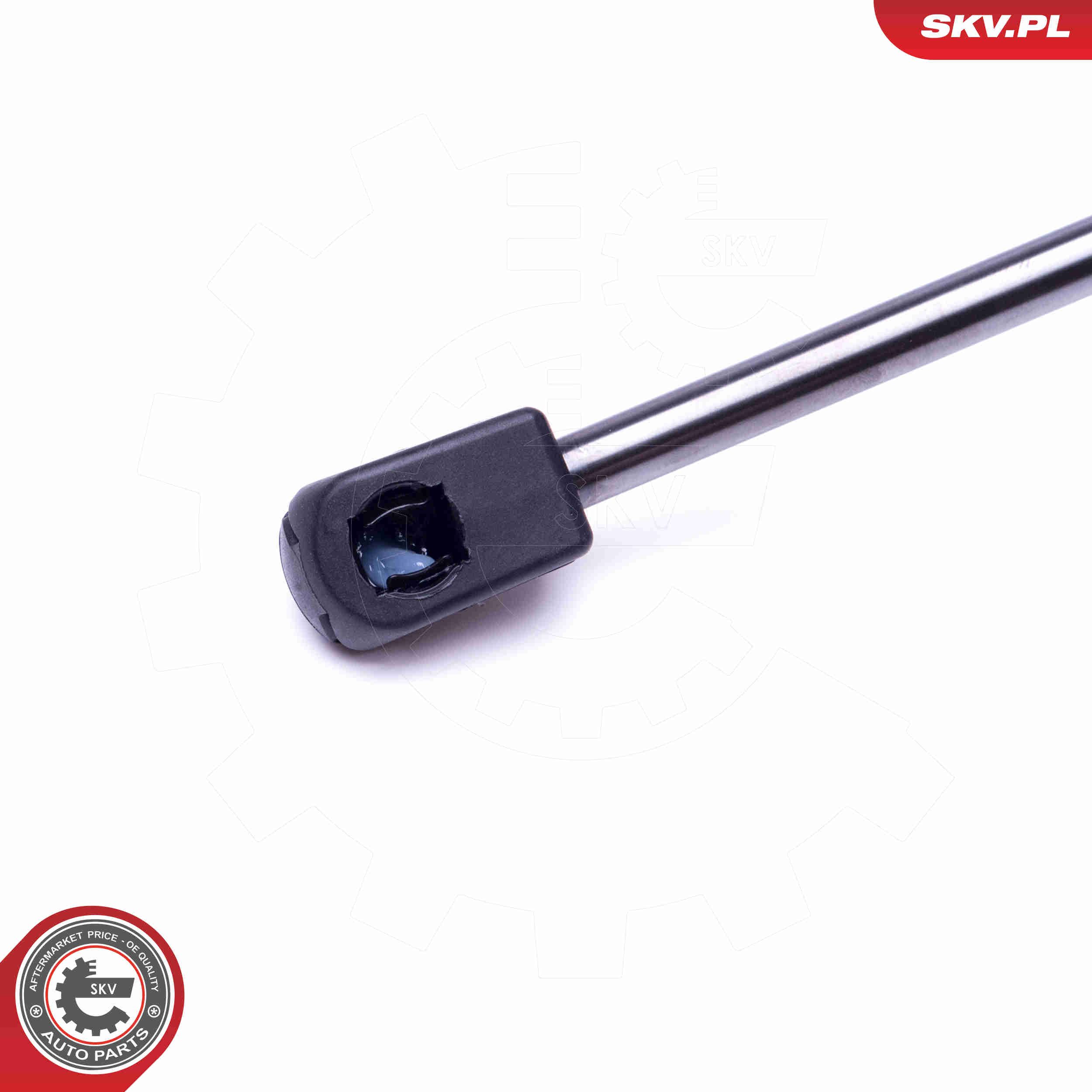 Gasfeder, Koffer-/Laderaum Gasfeder, Koffer-/Laderaum