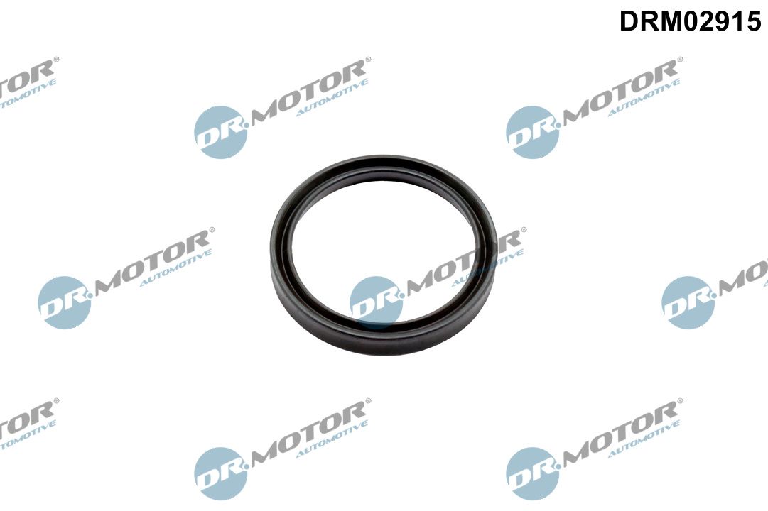 Dr.Motor Automotive DRM02915 - Dichtring, Lader