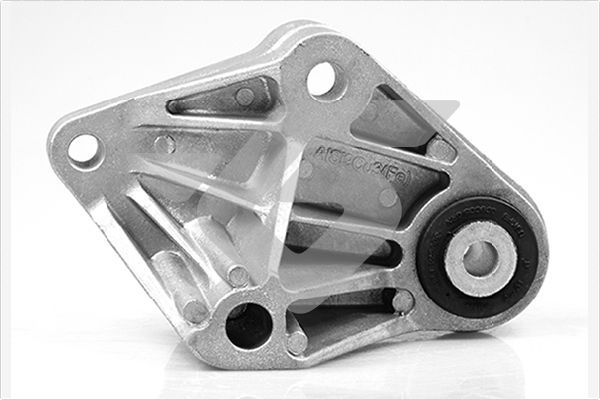 Halter, Motoraufhängung