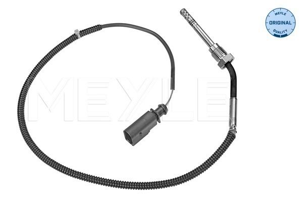 Sensor, Abgastemperatur