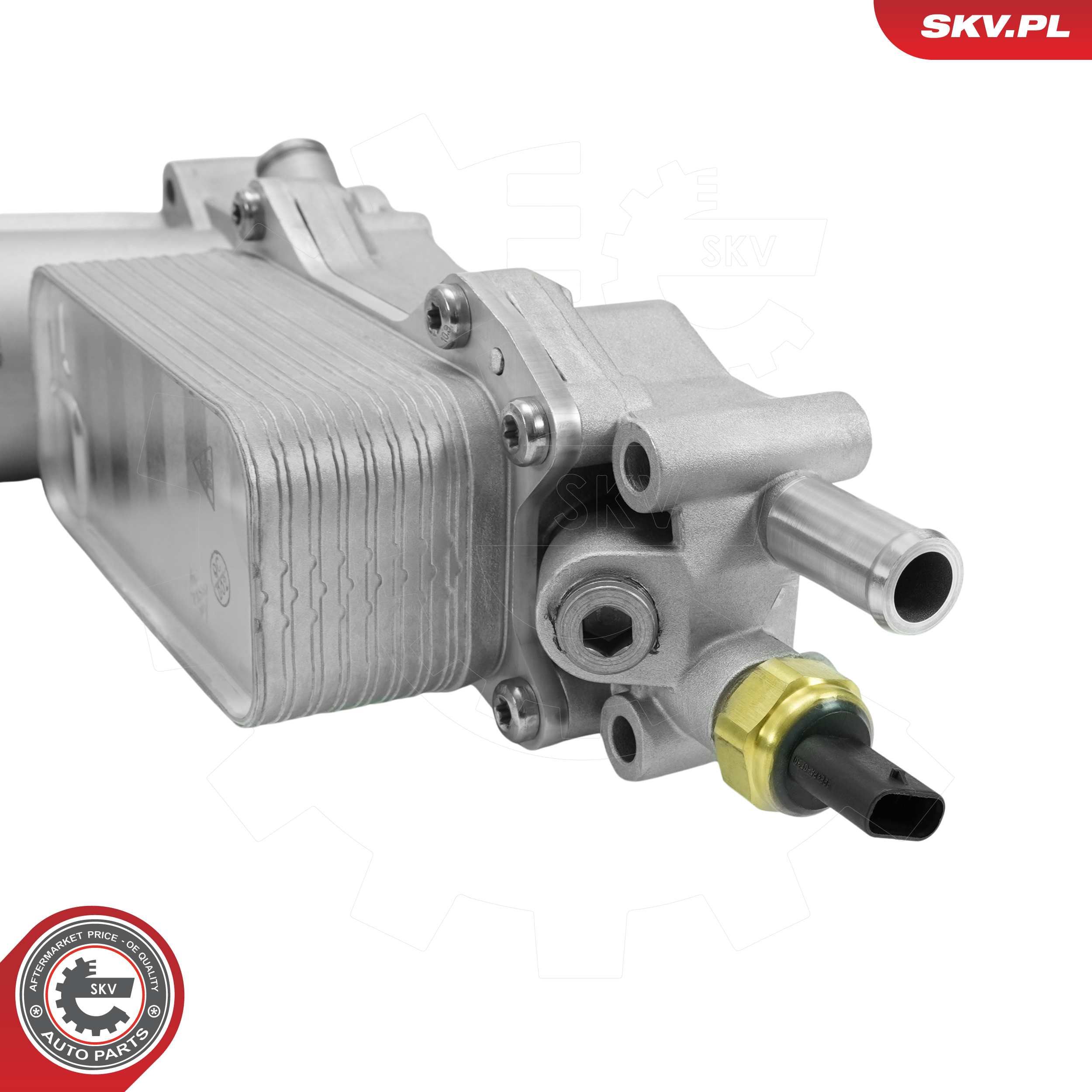 Oliekoeler, motorolie