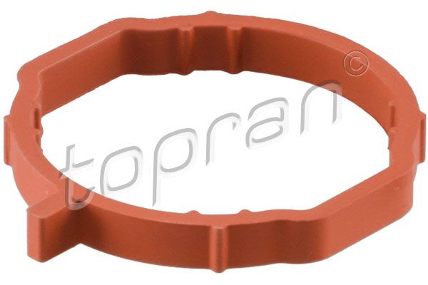 Gasket, intake manifold 113 889