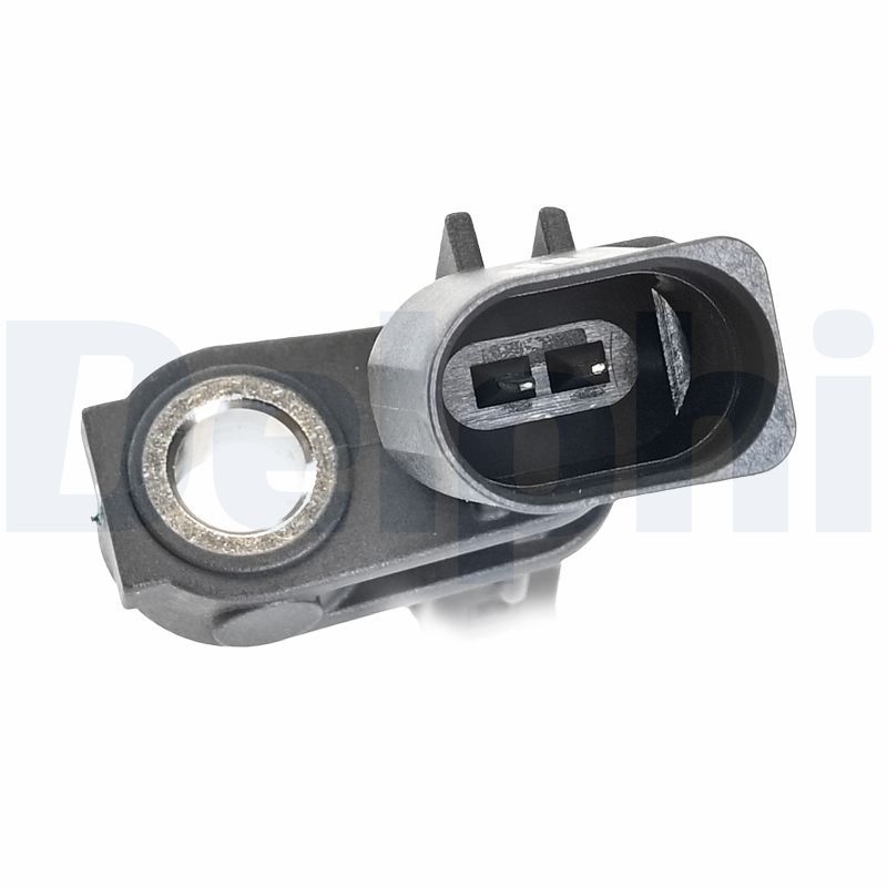 SS21507_1.JPG