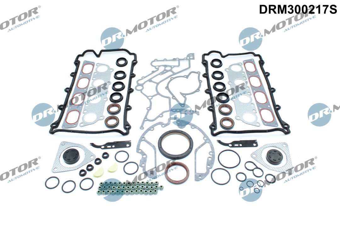 Dr.Motor Automotive DRM300217S - Dichtungsvollsatz, Motor