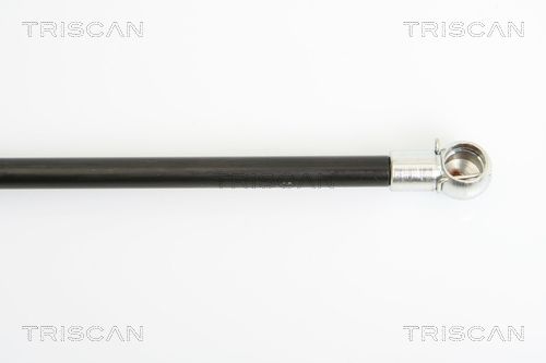 Triscan 8710 16241 Gasfeder, Koffer-/Laderaum