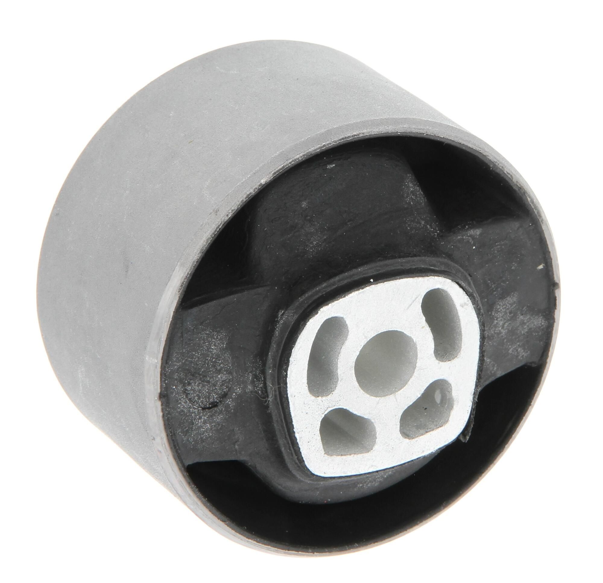 Halter, Motoraufhängung