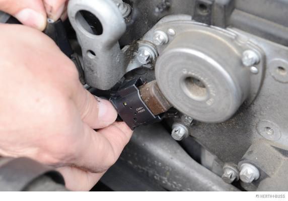 Anschlussleitung, Stellmagnet (Nockenwellenverstellung)
