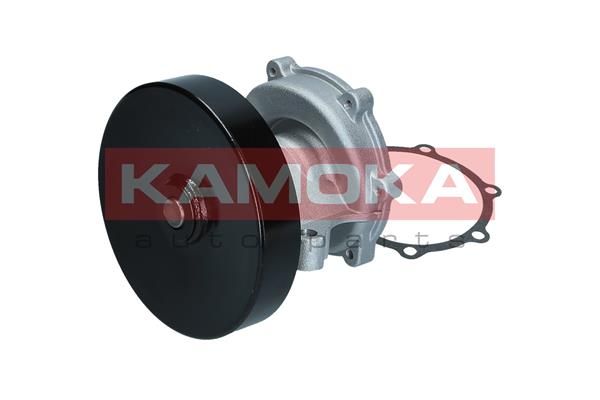 Water Pump, engine cooling T0247