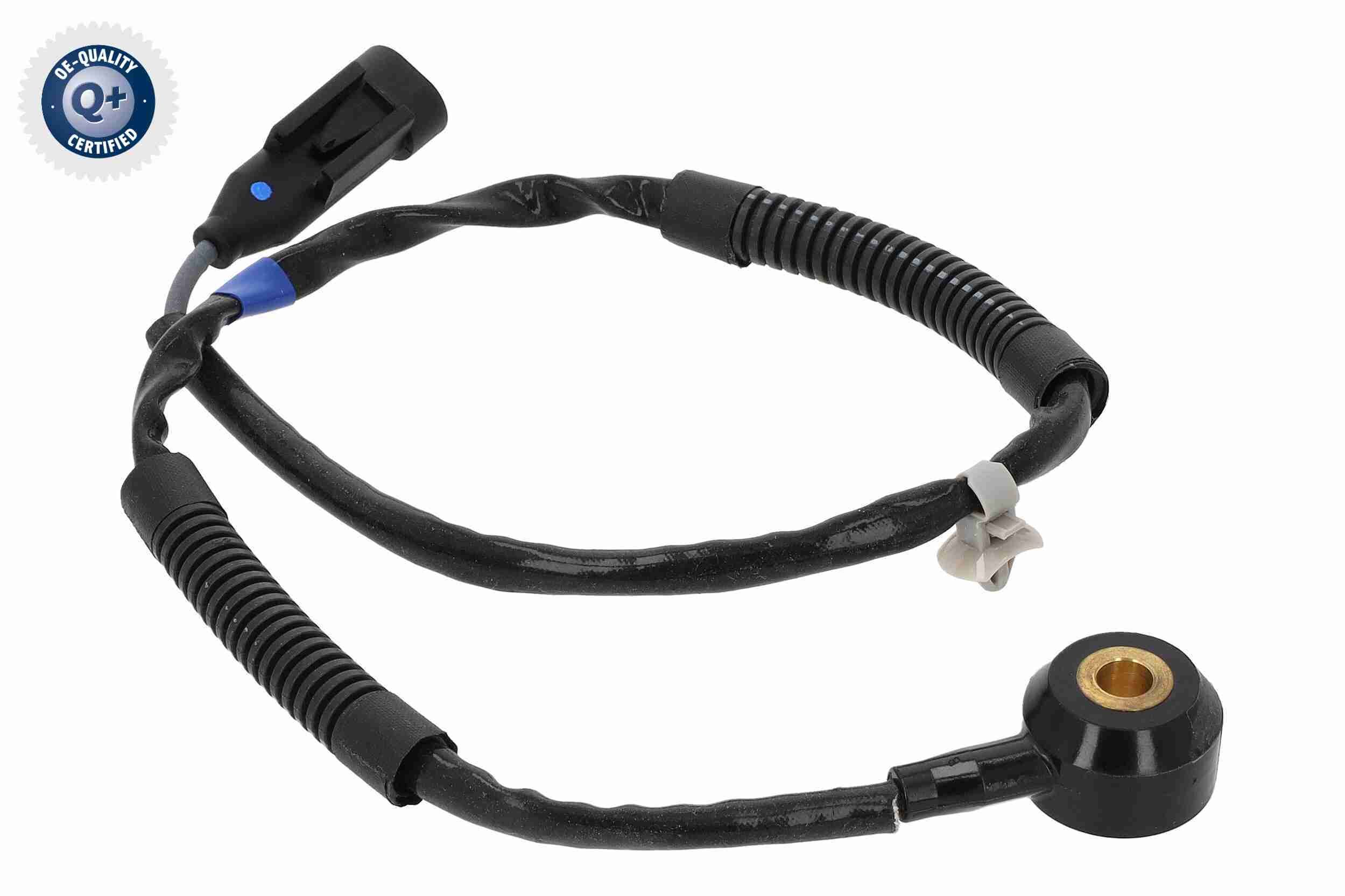 Klopfsensor