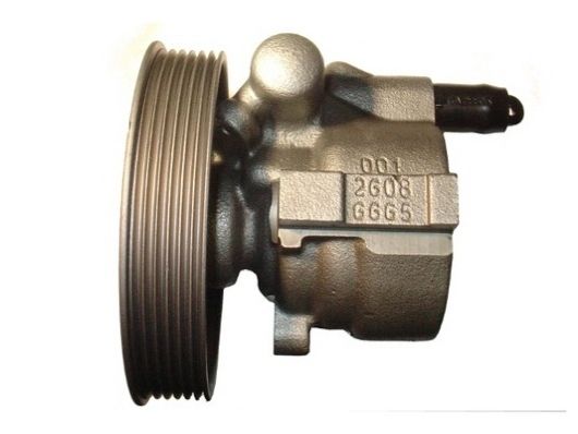 Hydraulikpumpe, Lenkung