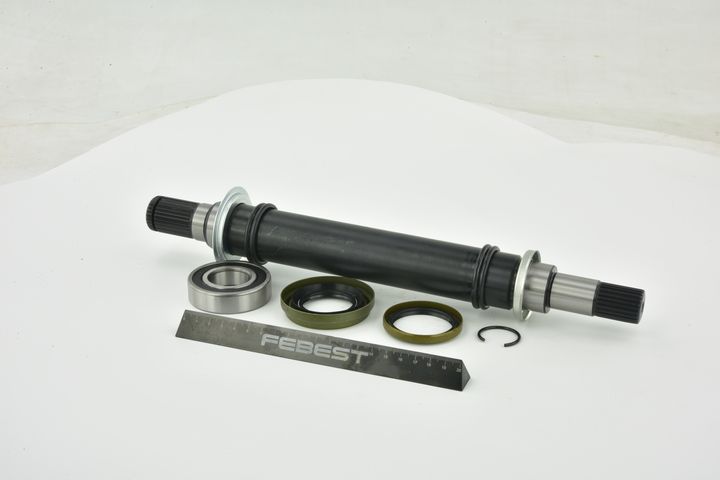 pusašis
