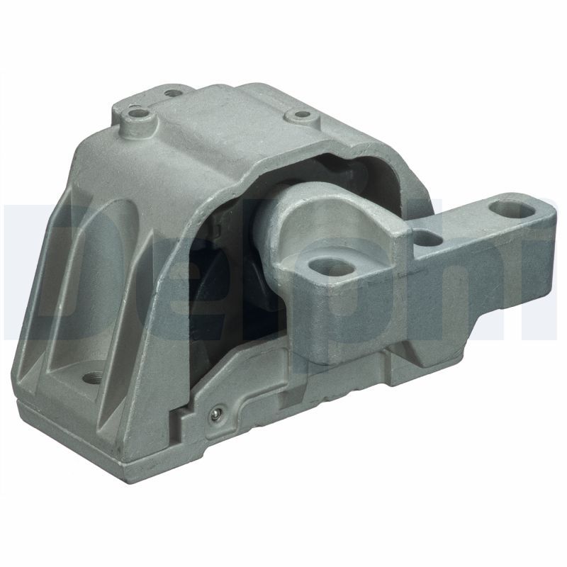 DELPHI TEM118 - Lagerung, Motor