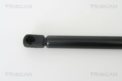 Triscan 8710 24228 Gasfeder, Koffer-/Laderaum