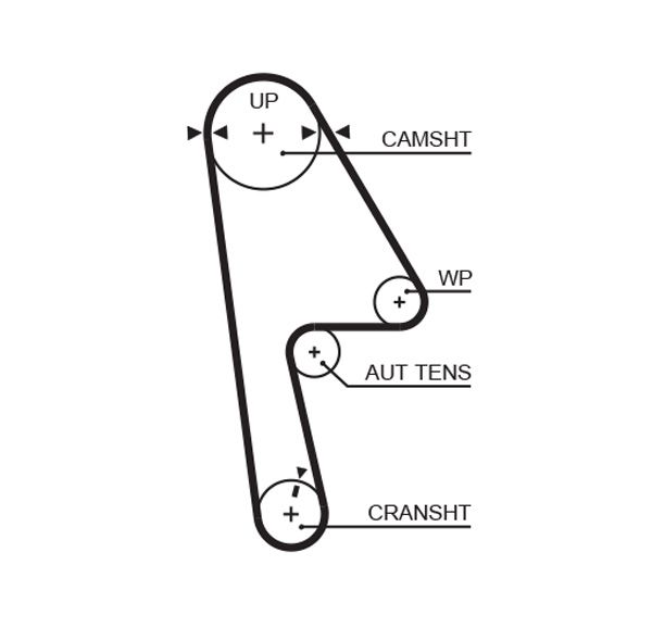 Timing Belt T312RB