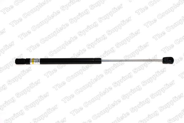 Gasfeder, Koffer-/Laderaum