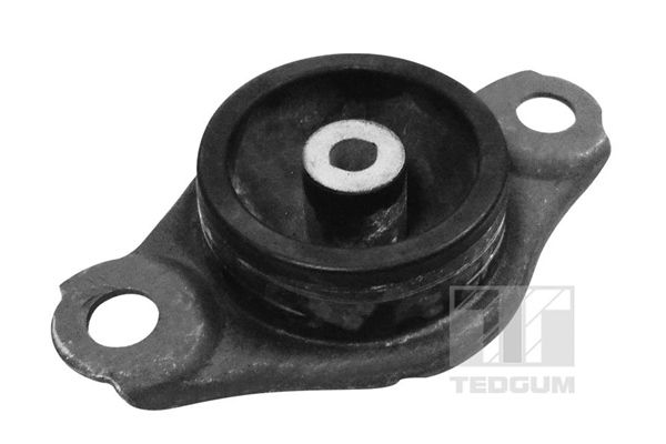 TED58229 TEDGUM felfüggesztés, motor