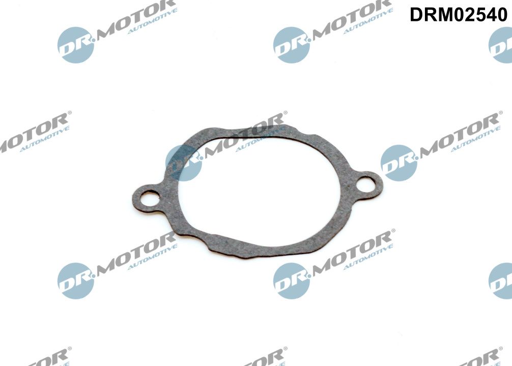 Dr.Motor Automotive DRM02540 - Dichtung, Thermostat