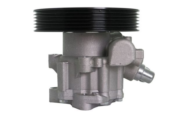 Hydraulikpumpe, Lenkung