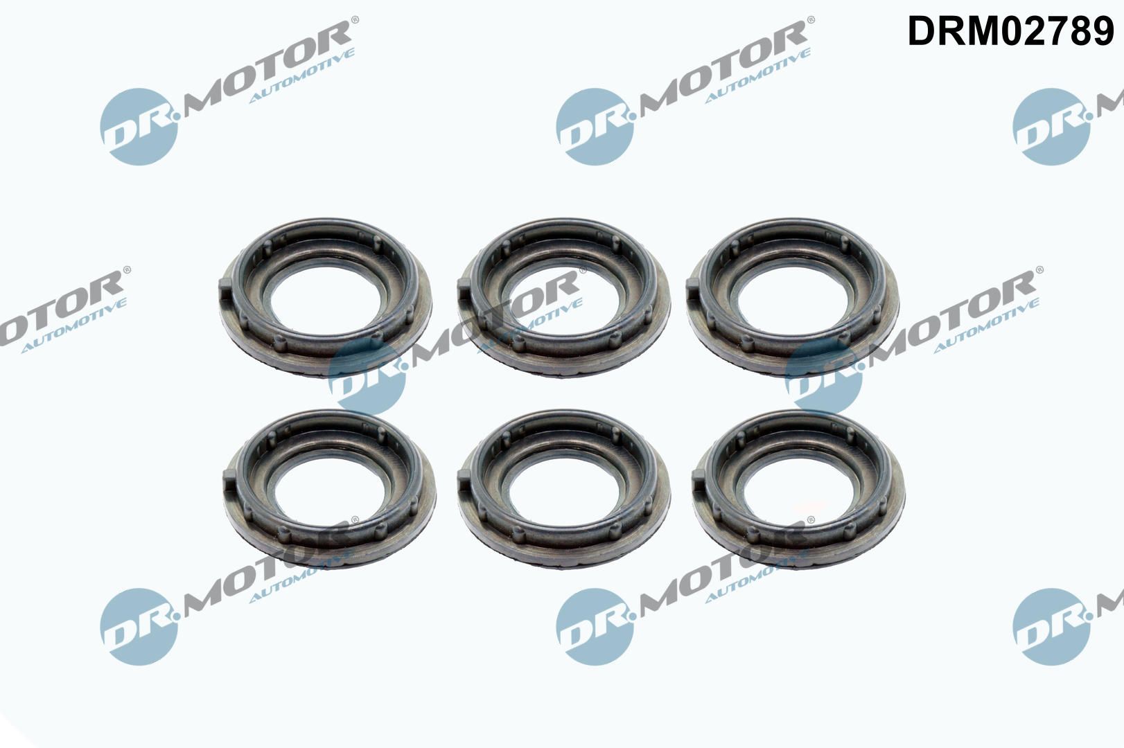 Dr.Motor Automotive DRM02789 Gasket, cylinder head cover