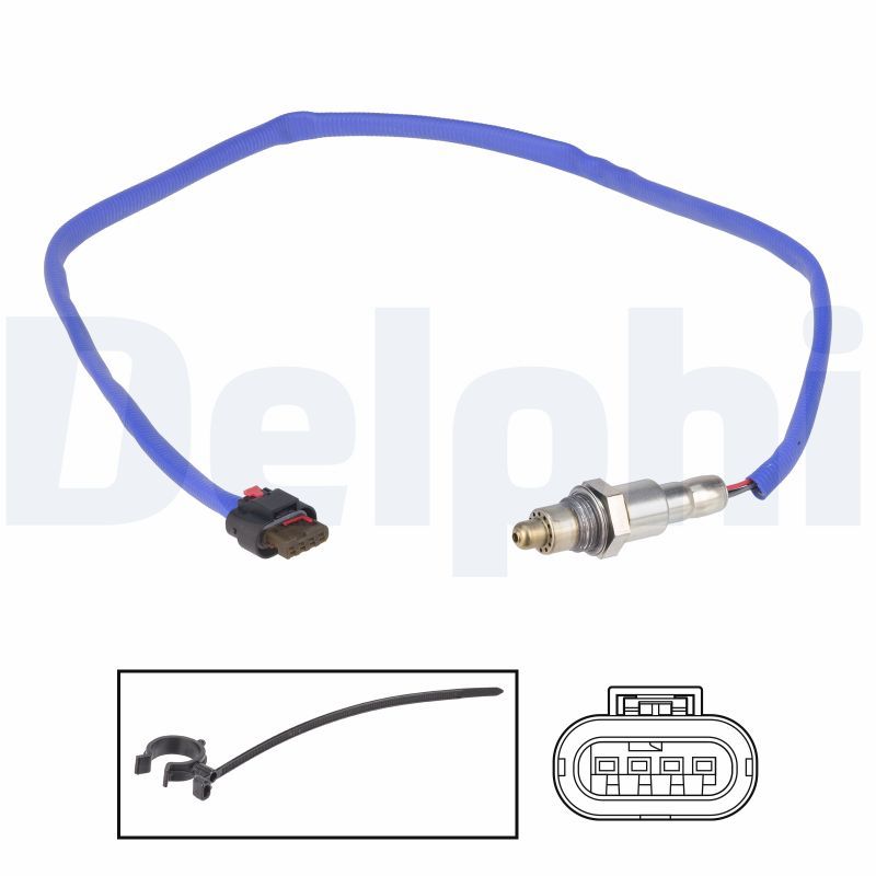 ES21381-12B1.JPG
